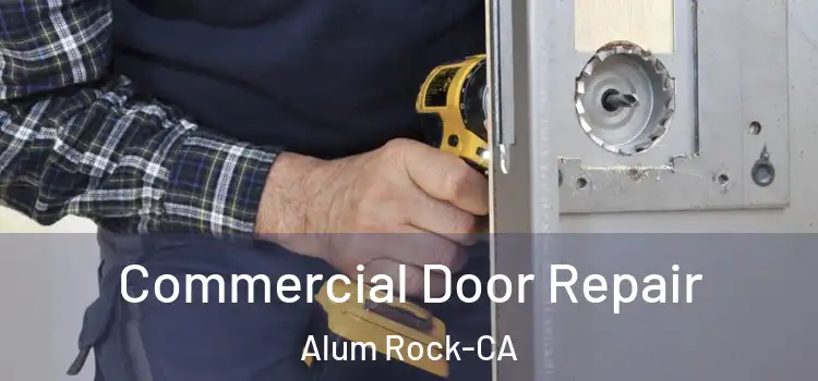  Commercial Door Repair Alum Rock-CA