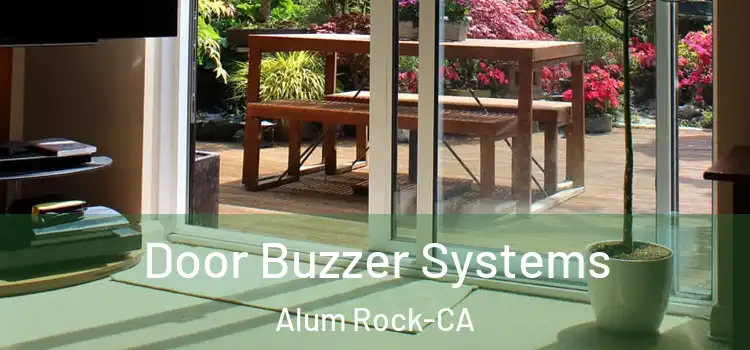  Door Buzzer Systems Alum Rock-CA