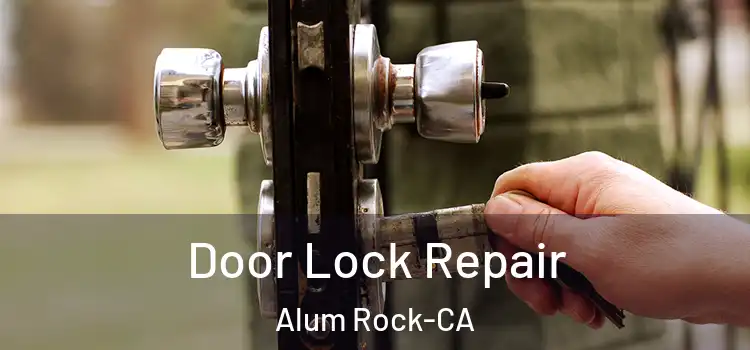  Door Lock Repair Alum Rock-CA