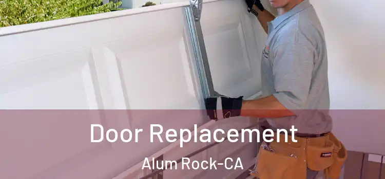  Door Replacement Alum Rock-CA