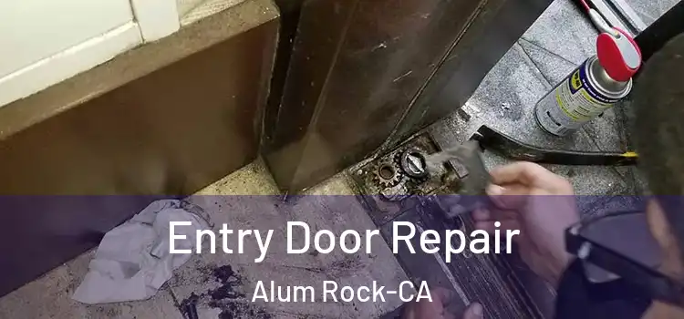  Entry Door Repair Alum Rock-CA