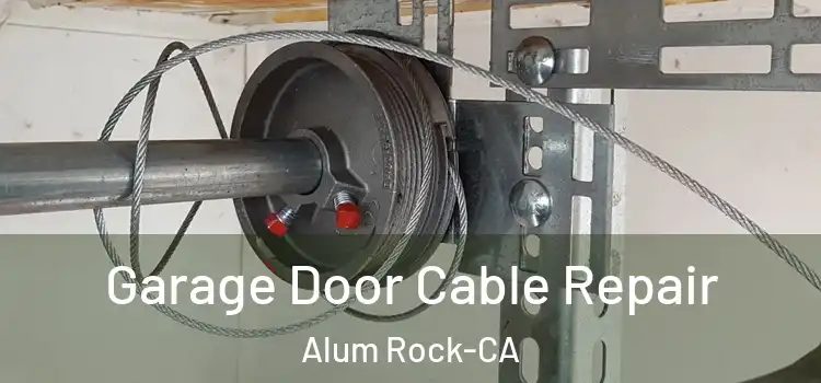  Garage Door Cable Repair Alum Rock-CA