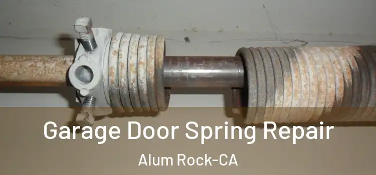  Garage Door Spring Repair Alum Rock-CA