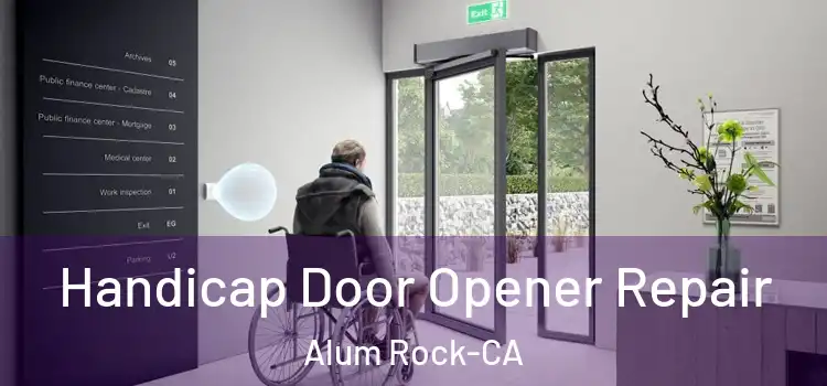  Handicap Door Opener Repair Alum Rock-CA