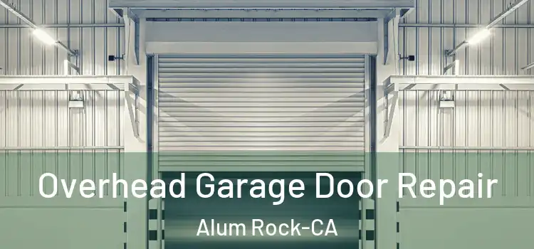  Overhead Garage Door Repair Alum Rock-CA