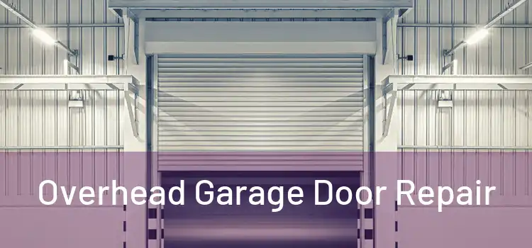  Overhead Garage Door Repair 