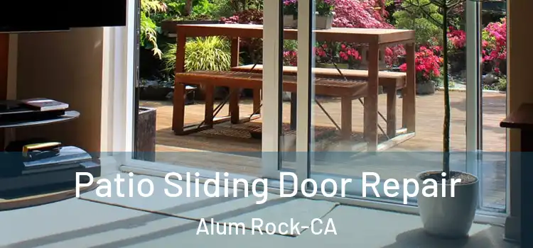  Patio Sliding Door Repair Alum Rock-CA
