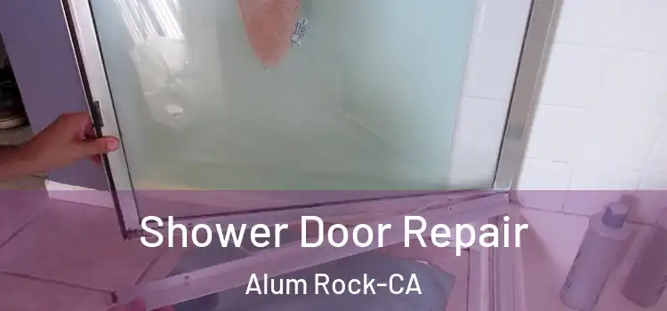  Shower Door Repair Alum Rock-CA