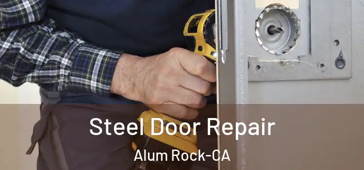  Steel Door Repair Alum Rock-CA